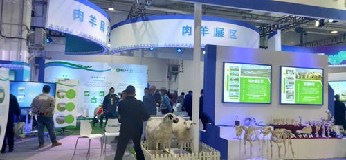第八屆內(nèi)蒙古綠色農(nóng)畜產(chǎn)品博覽會暨優(yōu)良品種推廣會 創(chuàng)新服務模式，擘畫綠色發(fā)展新藍圖
